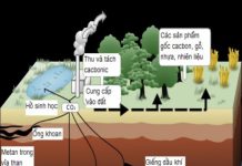 Giáo dục ứng phó biến đổi khí hậu