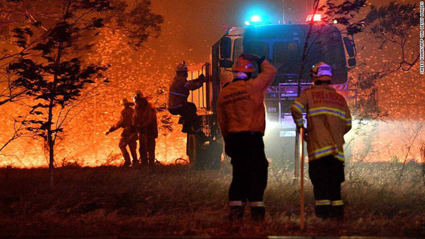 Nửa tỉ sinh vật bị thiêu hủy trong các đợt cháy rừng ở Úc. Liệu đây có phải là hậu quả của biến đổi khí hậu?