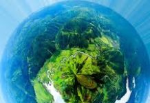 Hát cho hành tinh xanh – Mỹ Linh