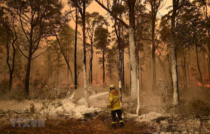 WMO khẳng định biến đổi khí hậu là yếu tố gây cháy rừng tại Australia