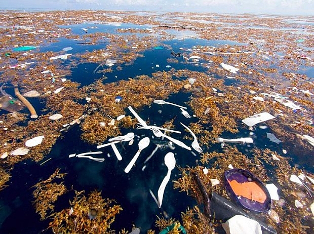 Những bức ảnh về thực trạng ô nhiễm môi trường khiến cả thế giới giật mình