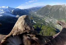 Bộ ảnh “tôn vinh mẹ thiên nhiên” và cảnh báo những nguy cơ về môi trường nhân kỉ nhiệm 50 năm ngày Trái đất (22/4/2020)