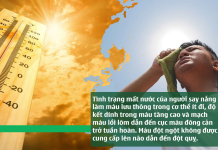 Cách phòng ngừa đột quỵ trong mùa nóng