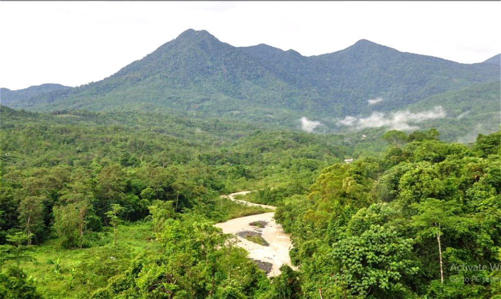 OECM: Cơ hội mới cho bảo tồn đa dạng sinh học ở Việt Nam