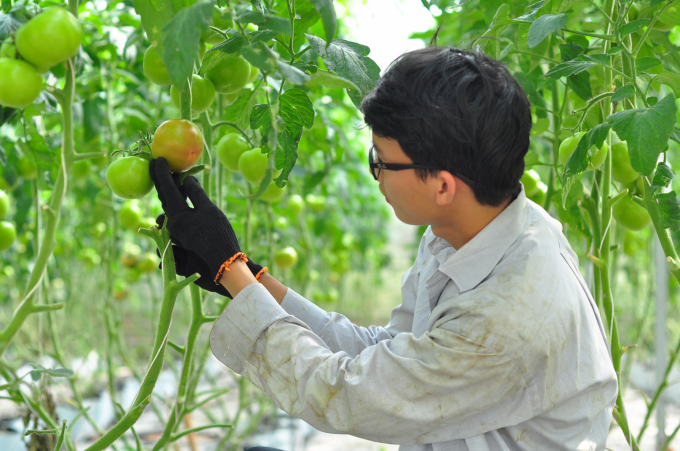 Nông nghiệp thông minh 4.0: Thực tiễn ở Lâm Đồng